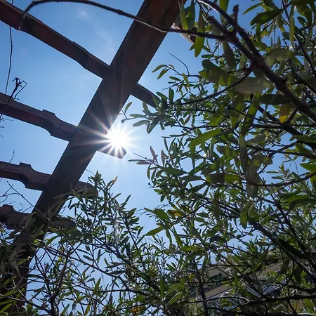 Διαμέρισμα Amazing Penthouse With Terrace By Caracalla *